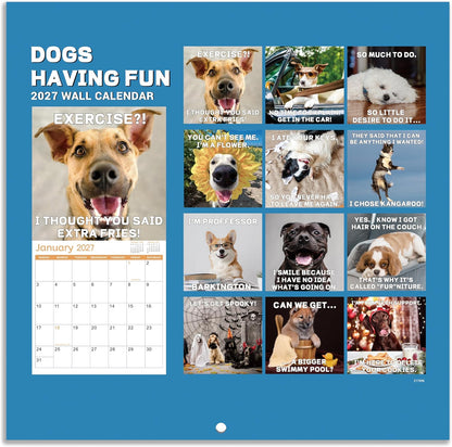 2027 Funny Dogs Wall Calendar