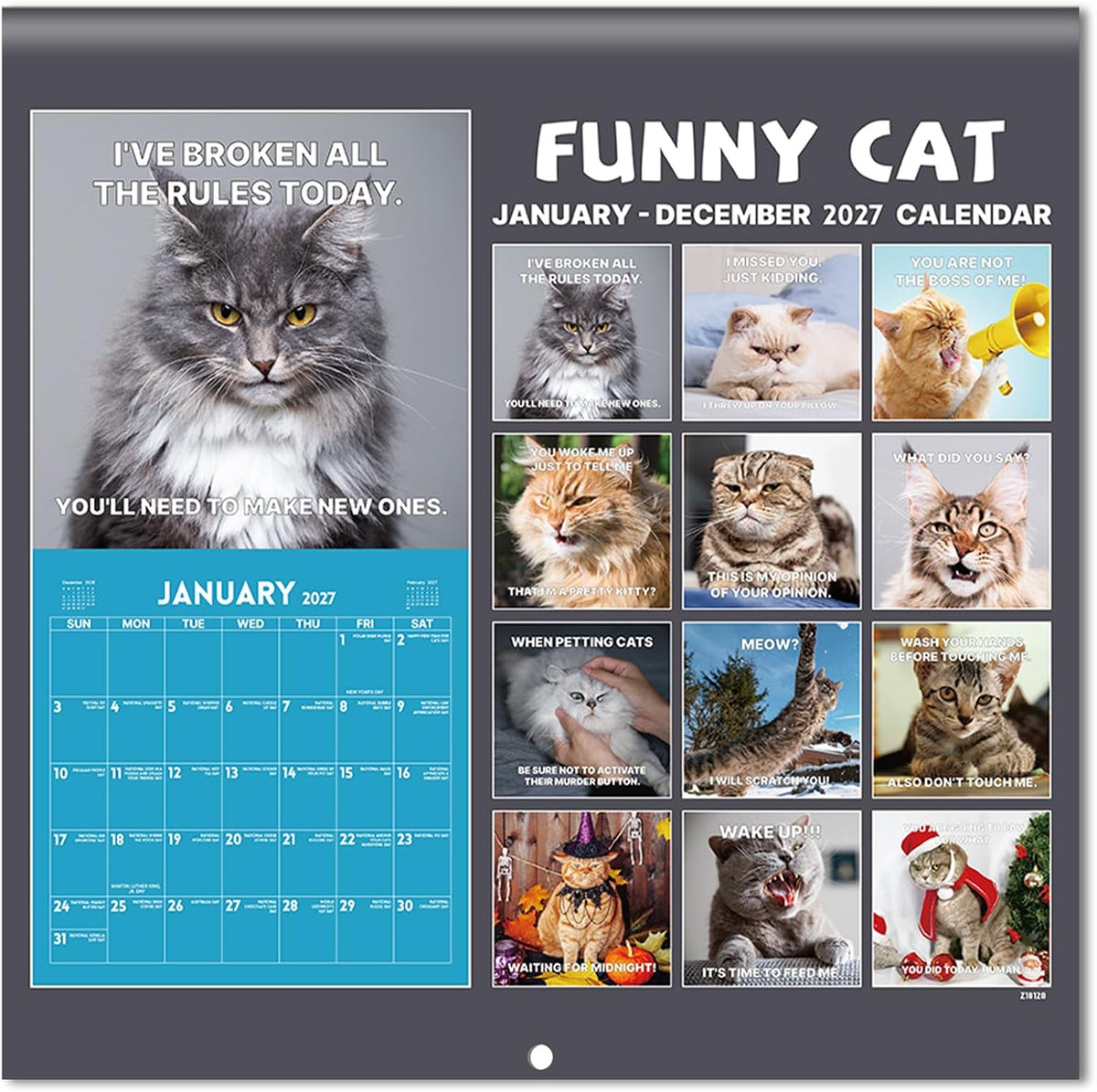 2027 Funny Cats Wall Calendar