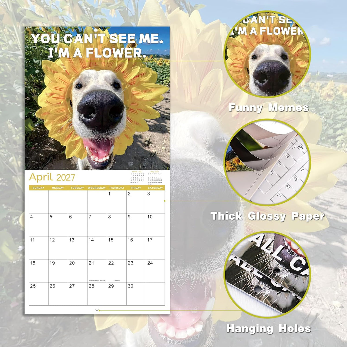 2027 Funny Dogs Wall Calendar