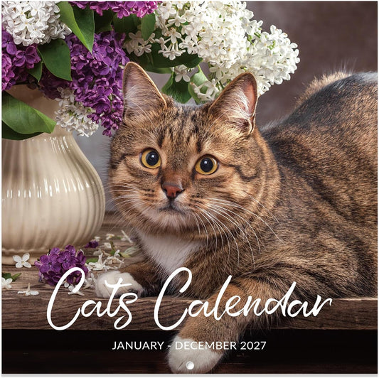 Cat Photo 18-Month Wall Calendar (Jul 2026 - Dec 2027)