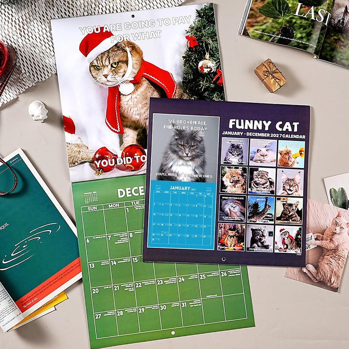 2027 Funny Cats Wall Calendar