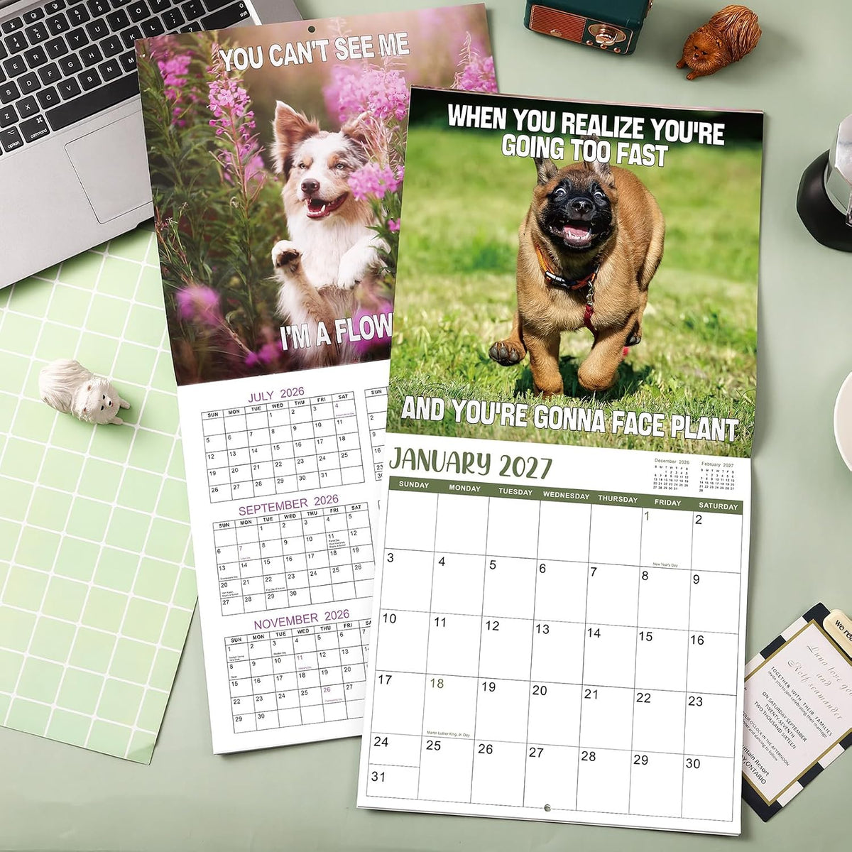 Silly Dogs 18-Month Wall Calendar (Jul 2026 - Dec 2027)