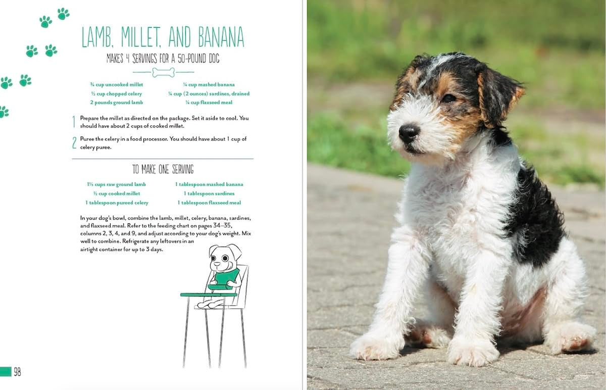 Home Cooking for Your Dog - 75 Recipes