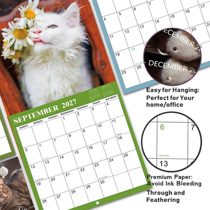 Cat Photo 18-Month Wall Calendar (Jul 2026 - Dec 2027)