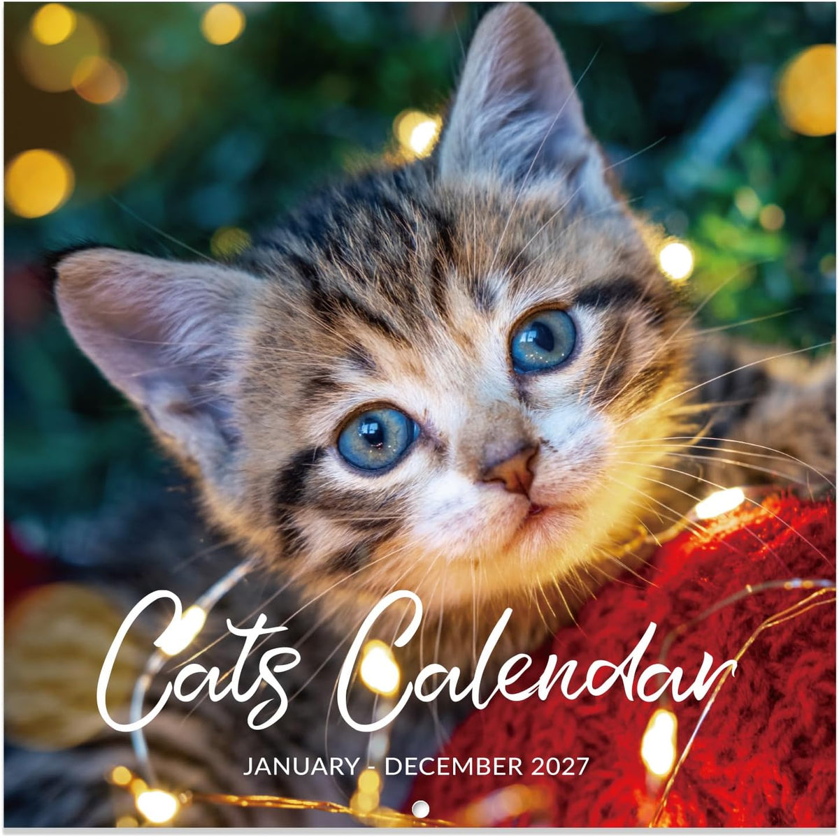 Cutie Cats 18-Month Wall Calendar (Jul 2026 - Dec 2027)