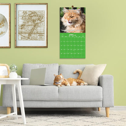 2027 Funny Cats Wall Calendar
