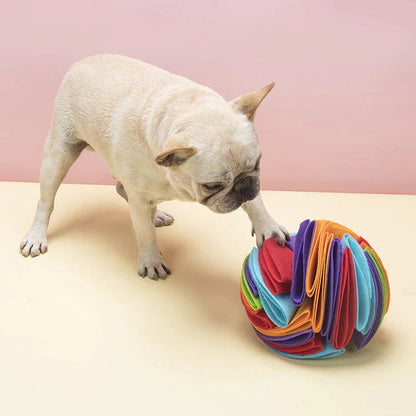 Busy Pup Set